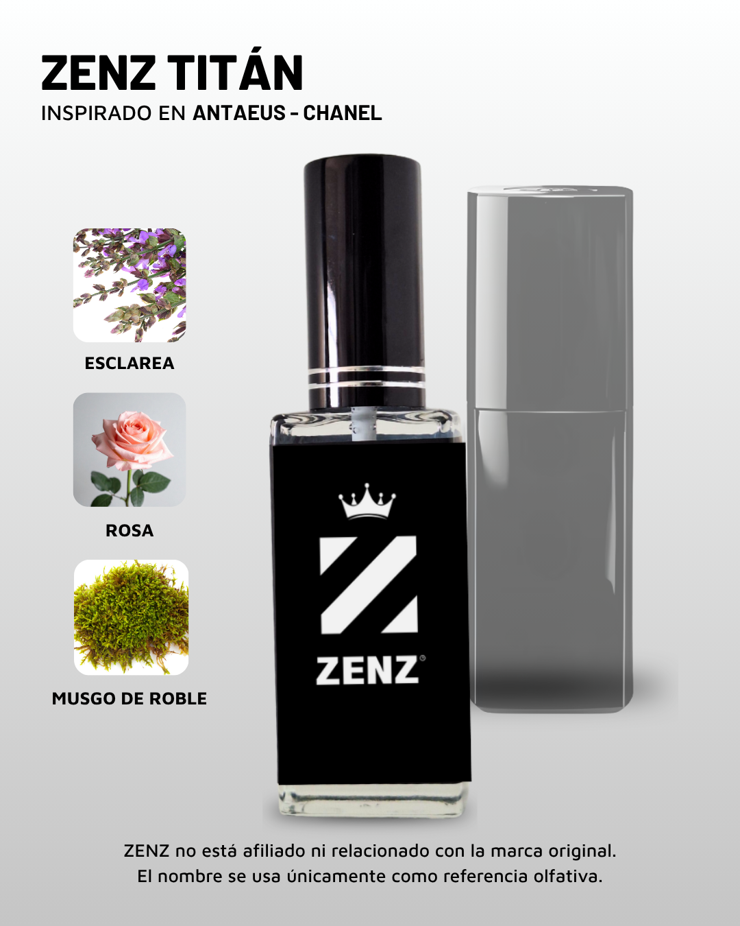 C Inspirado en Antaeus | Chanel ZENZ