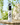 ZENZ POWER VICTORY AMBIENTAL