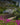 INSPIRADO EN CAPRI PALACE (AMBIENTAL ZENZ)