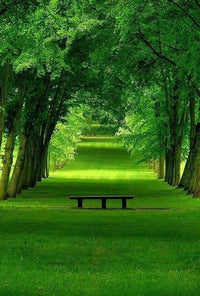 AMBIENTALES ZENZ